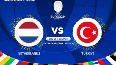 turkiye vs netherlands euro2024 meritking.news