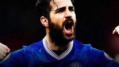 Cesc Fabregas 1